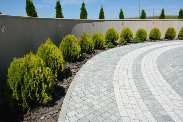 Best Driveway Repair Near Me  in Rancho Santa Margarita, CA